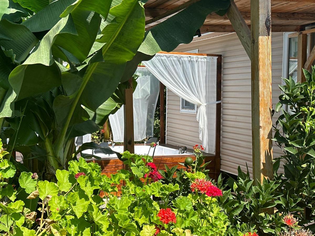 Kiris Garden Hotel Kemer Kültér fotó